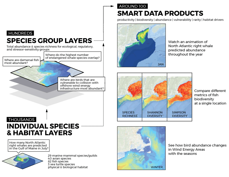 Northeast ocean planning data graphic